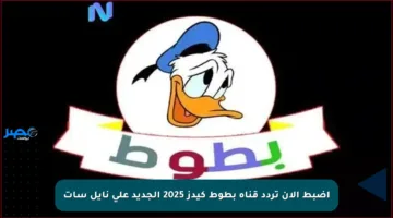 اضبط الآن تردد قناة بطوط كيدز 2025 الجديد على نايل سات